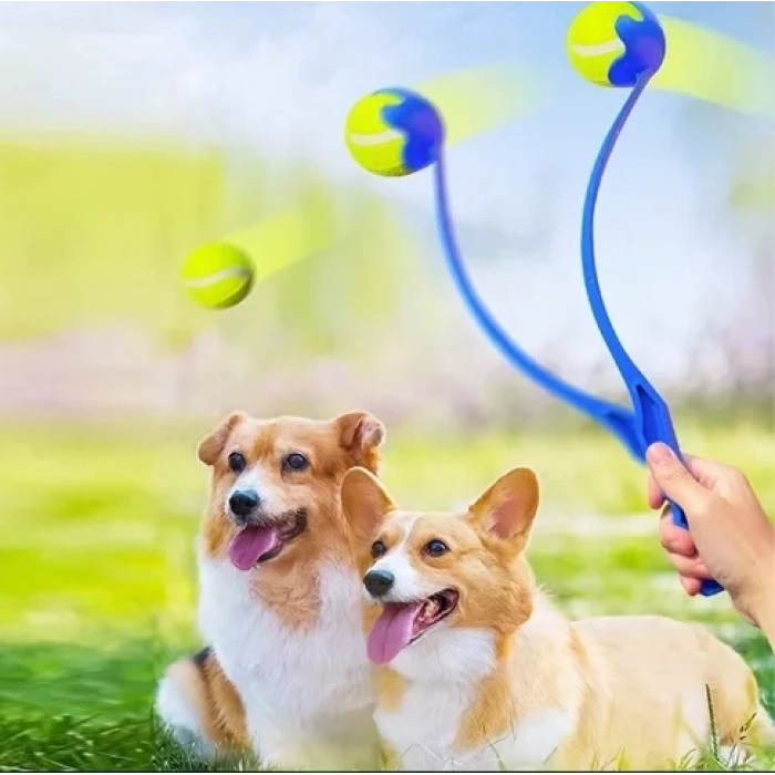 Tenis Toplu İnteraktif Fırlatıcı Top Atma Köpek Oyuncağı