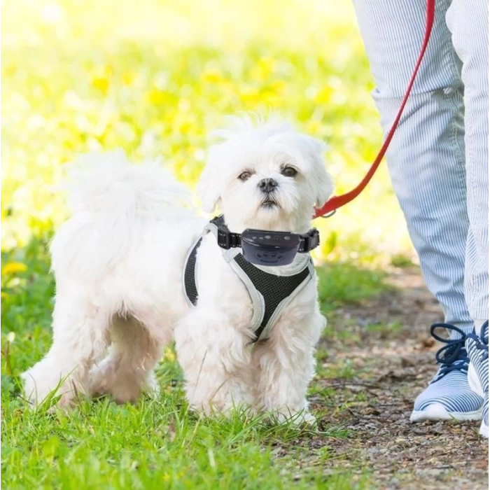 Havlama Önleyici Köpek Eğitim Tasması Şarjlı 35x54 Cm