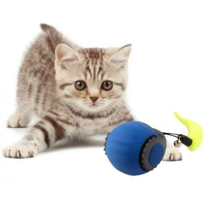 İnteraktif Akıllı Kedi Oyuncağı Usb Şarjlı 7 cm