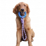 İnteraktif Çekme Halatlı Köpek Oyuncağı 43 cm