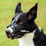Ayarlanabilir Esnek Nefes Alınabilen Köpek Ağızlık