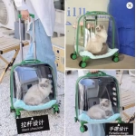 Kedi Küçük Irk Köpek Tekerlekli Şeffaf Taşıma Çantası