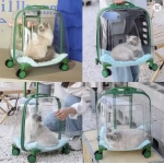 Kedi Küçük Irk Köpek Tekerlekli Şeffaf Taşıma Çantası