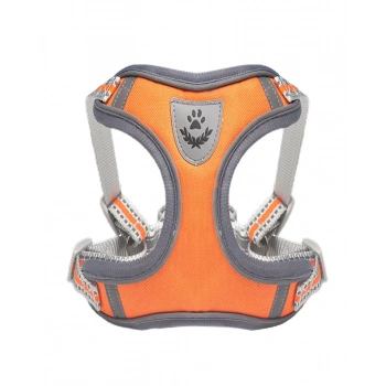 Köpek Armalı Göğüs Tasması Gezdirmeli Medium QY-028M