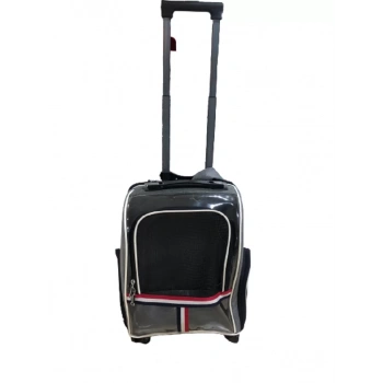 Kedi Köpek Şeffaf Çekçekli Valiz Bej