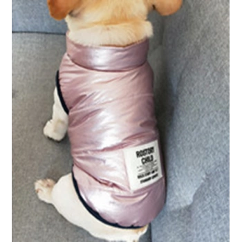 Küçük Irk Köpek Kıyafeti Parlak