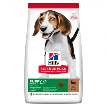 Hills Puppy Healthy Development Kuzu Etli Yetişkin Köpek Maması 2.5 Kg