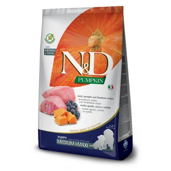 N&D Tahılsız Bal Kabağı&Kuzu Etli Yavru Medium-Maxi Köpek Maması 2.5 Kg