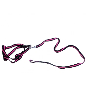 Esnek Yumuşak Doku Köpek Göğüs Tasma Takım 2 cm x 34-52 Cm