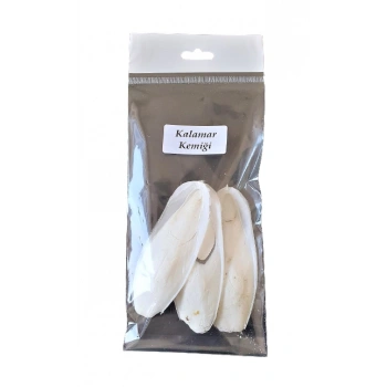 Kalamar Mürekkep Balığı Kemiği