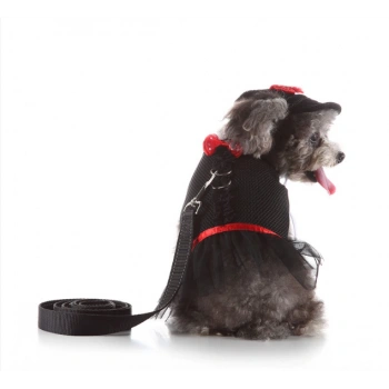 Köpek Yelek Gezdirme Elbisesi + Şapka XSmall