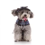 Köpek Yelek Gezdirme Elbisesi + Şapka XSmall