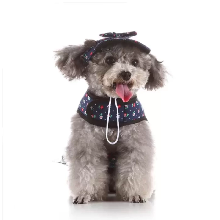 Köpek Yelek Gezdirme Elbisesi + Şapka Medium