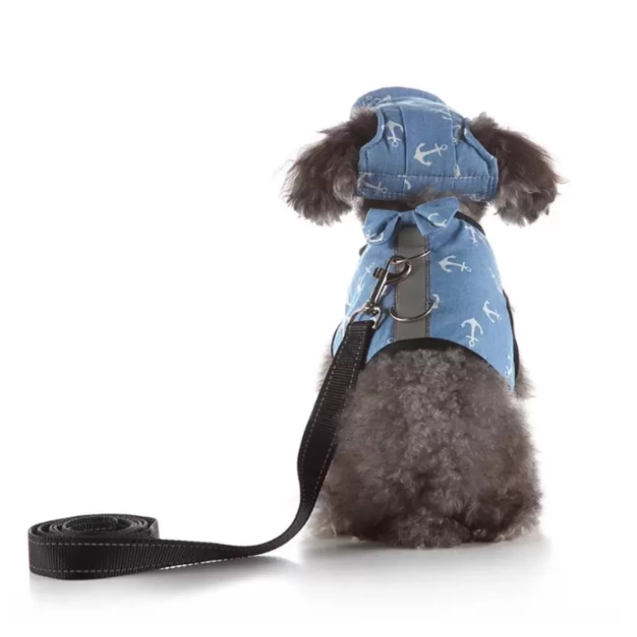 Köpek Yelek Gezdirme Elbisesi + Şapka Small