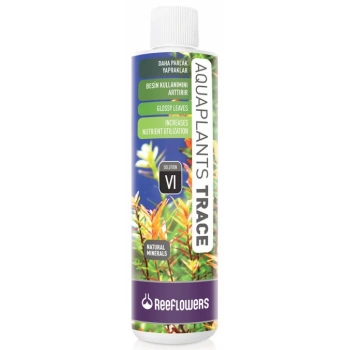 Reeflowers Aquaplants Phosphate - II Bitki Fosfat Katkısı 500 ml