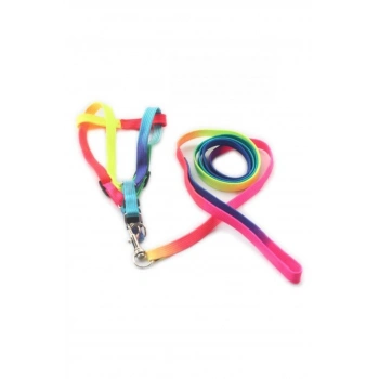 Küçük Irk Köpek Gökkuşağı Renkli Göğüs + Gezdirme Tasma Small 1x100 cm