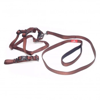 Köpek Boyun & Göğüs Tasma 3 lü Takım Small