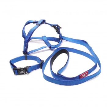 Köpek Boyun & Göğüs Tasma 3 lü Takım Large