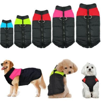 Siyah Yelek Köpek Kıyafeti M-L-XL