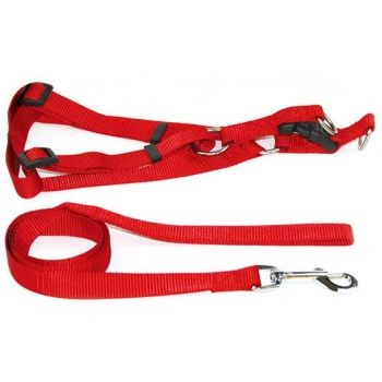 Köpek Göğüs Tasma Takım 1.5*120 cm BO-1014-15