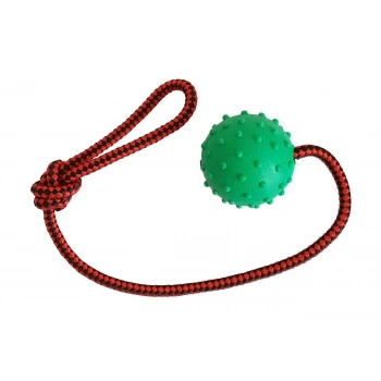 Dikenli Toplu Diş İpi Köpek Oyuncağı 45 cm