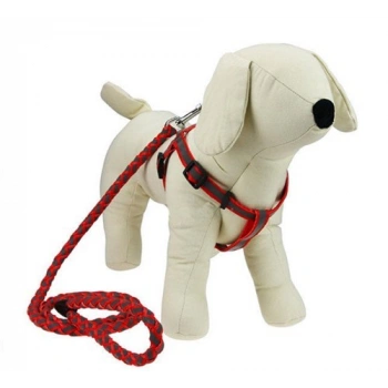 Köpek Göğüs Tasma + Gezdirme Small SPCH02606