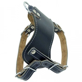 Deri Köpek Sırtlık Eğitim Tasma Medium 2.5 cm / 60-75 cm