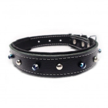 Deri Köpek Boyun Tasması 2.5 x 45 cm