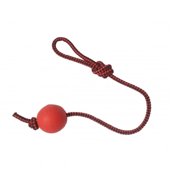 Köpek Diş İpi Toplu Kırmızı 40 cm