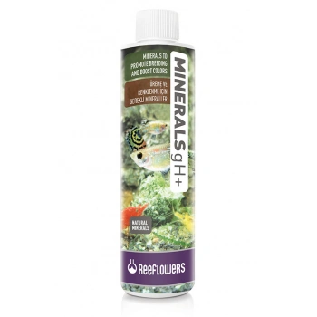 Reeflowers Minerals gH+ Üreme ve Renklenme 50 ml.