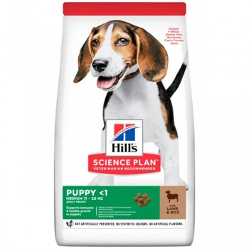 Hills Puppy Medium Kuzu Etli Orta Irk Yavru Köpek Maması 14 Kg