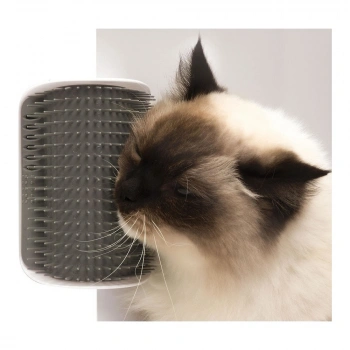 Kedi Kaşınma Köşe Aparatı