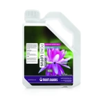 Reeflowers Pond Lotus- All Inclusive Büyümeyi Hızlandırır 3000 ml
