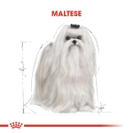 Royal Canin Maltese Terrier İrkı İçin Özel Köpek Maması 1.5 Kg