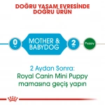 Royal Canin Mini Starter Küçük Irk Anne ve Yavru Köpek Maması 3 Kg