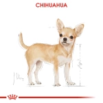 Royal Canin Pouch Chihuahua Irkı Özel Yaş Köpek Maması 85 Gr.