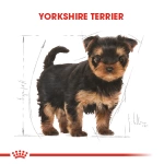 Royal Canin Yorkshire Terrier Junior Yavru Köpek Maması 1.5 Kg