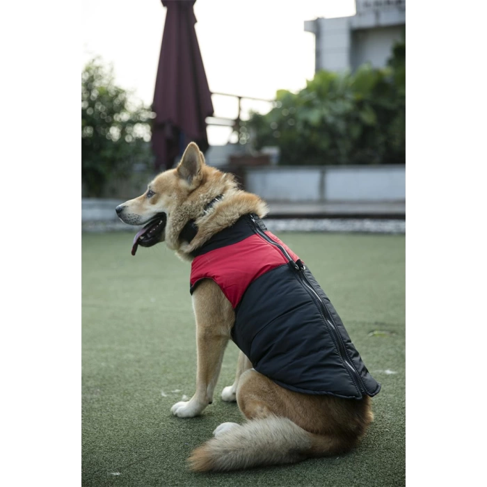 Siyah Yelek Köpek Kıyafeti M-L-XL