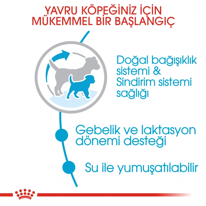Royal Canin Mini Starter Küçük Irk Anne ve Yavru Köpek Maması 3 Kg