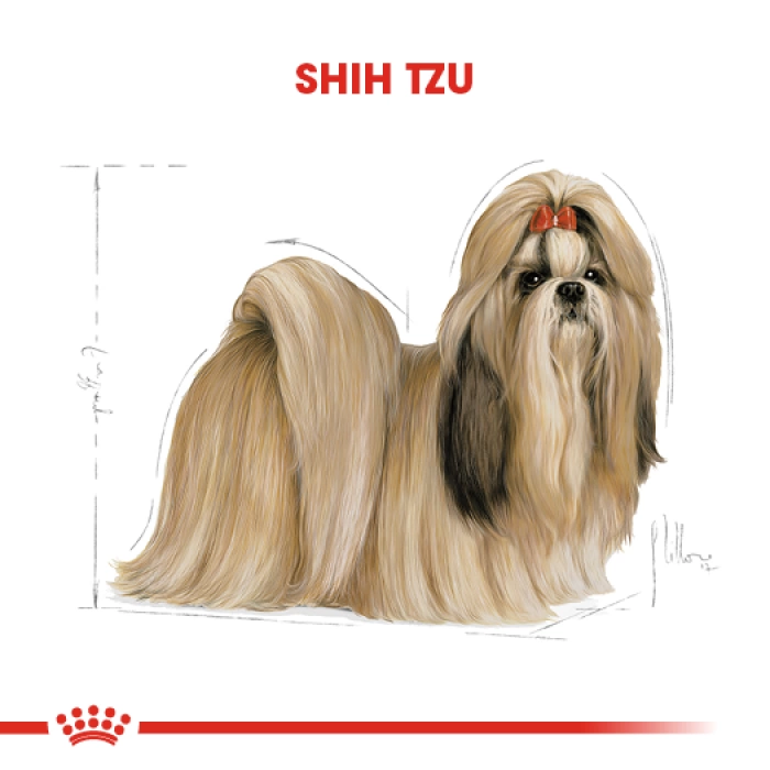 Royal Canin Shih Tzu Adult Yetişkin Köpek Maması 1.5 Kg