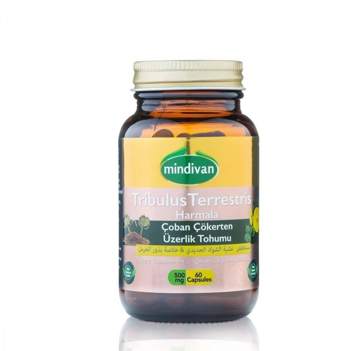 Çoban Çökerten & Üzerlik Tohumu Ekstresi 500 Mg 60 Kapsül