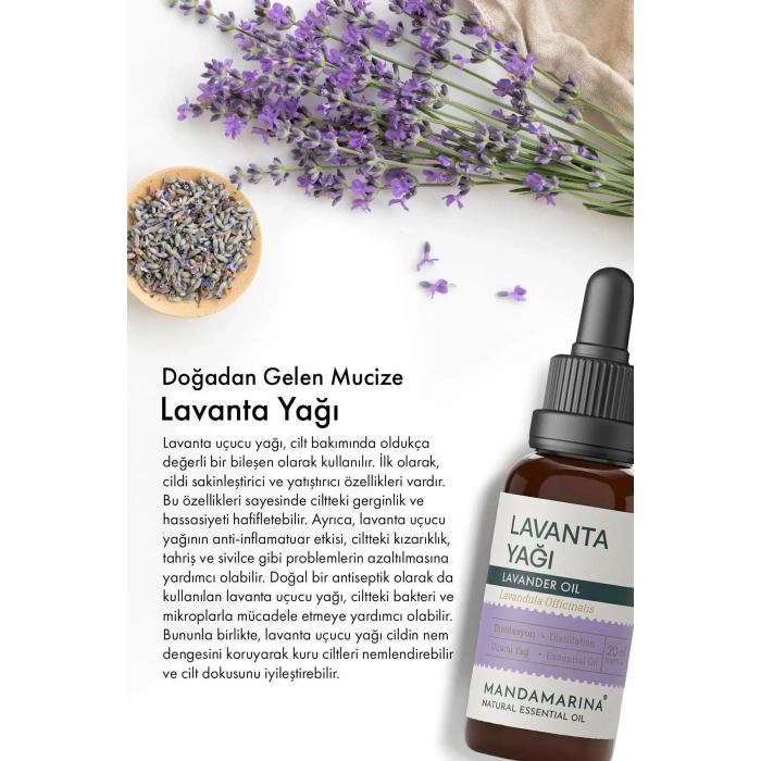 Lavanta Yağı 20 ML