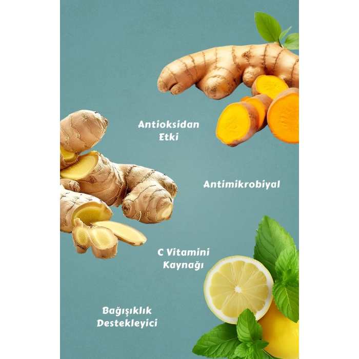 Mecitefendi Winter Hot Nane Limon Aromalı İçecek Tozu