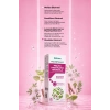 Shiffa Home Melisa, Passiflora ve Rhodiola İçeren Sıvı Ekstrakt 250 ML