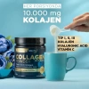 Nutraxin Hidrolize Kolajen Powder 300 gr