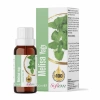 Softem Melisa Yağı 20 Ml