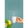 Mecitefendi Winter Hot Nane Limon Aromalı İçecek Tozu