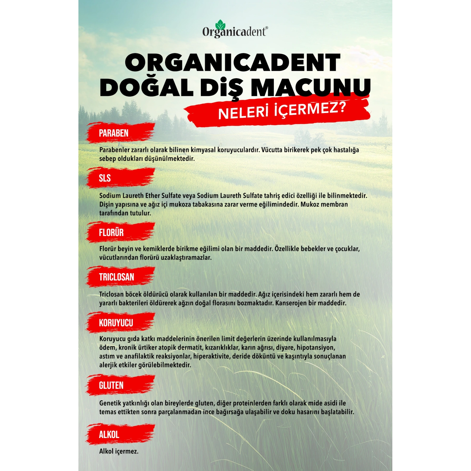 Organicadent Üçlü Koruma Doğal Diş Macunu 75 Ml - GİMDES Sertifikalı - Kapsamlı Bakım