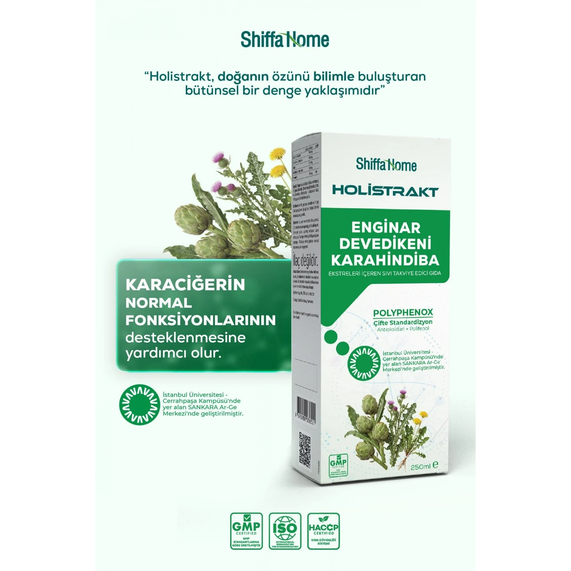 Shiffa Home Enginar, Devedikeni ve Karahindiba İçeren Sıvı Ekstrakt 250 ML