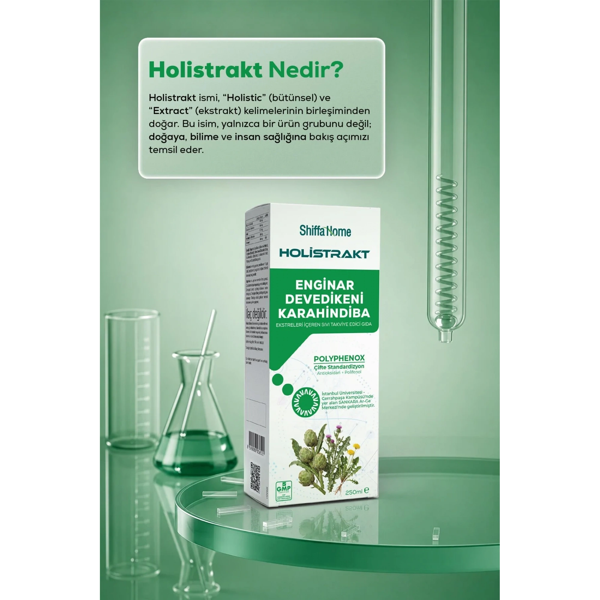 Shiffa Home Enginar, Devedikeni ve Karahindiba İçeren Sıvı Ekstrakt 250 ML